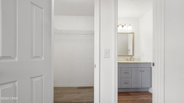 325 Bell Cir, Lynn Haven, FL 32444 - bathroom featuring wood finished floors, vanity, and a spacious closet
