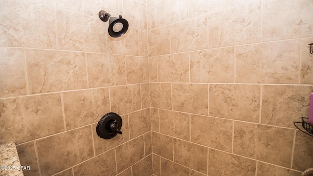 room details featuring a tile shower