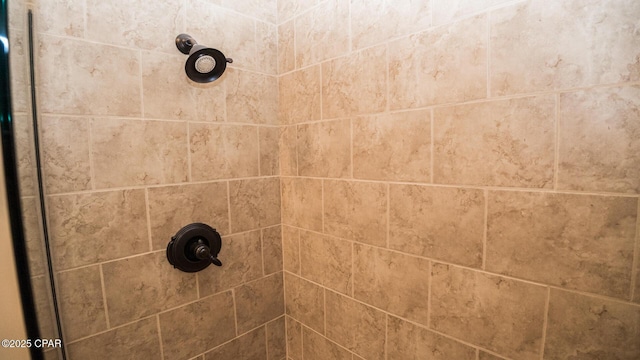 room details with tiled shower