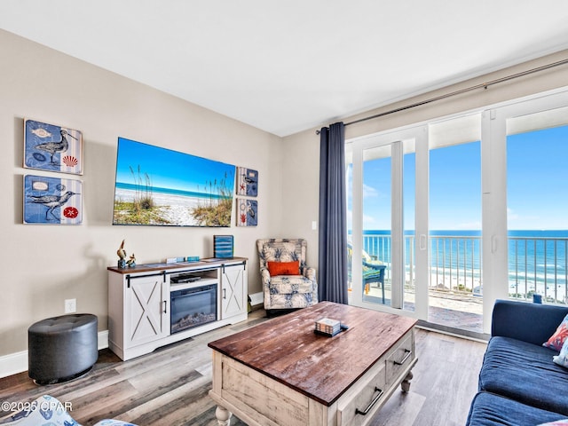 9860 S Thomas Dr Unit 1202, Panama City Beach, FL 32408 - living room featuring plenty of natural light, wood finished floors, and baseboards