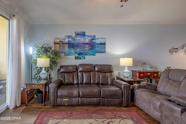 living area featuring ornamental molding and wood finished floors