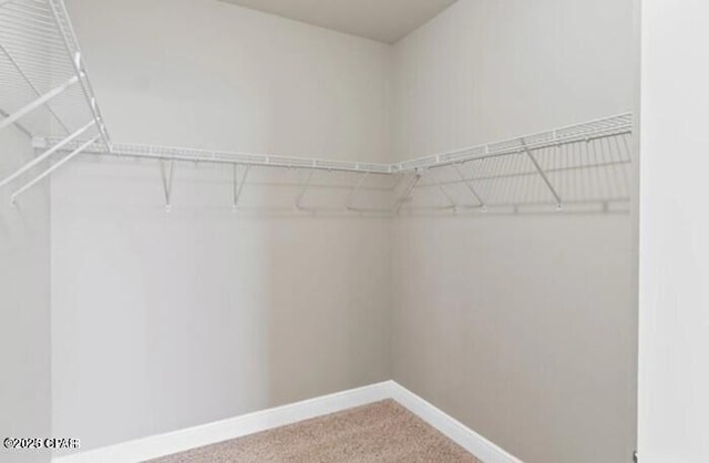 spacious closet featuring carpet flooring