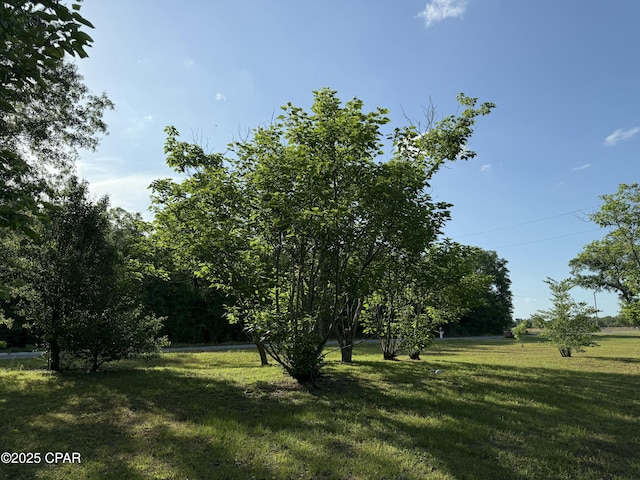 21022 Sweetwater Branch Rd, Fountain, FL 32438 - view of green lawn