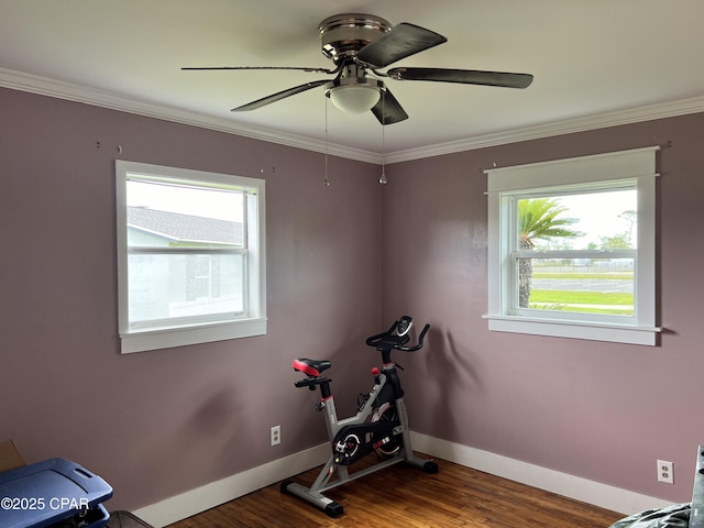 3906 W 24th Ct, Panama City, FL 32405 - exercise room with plenty of natural light, baseboards, ceiling fan, and wood finished floors