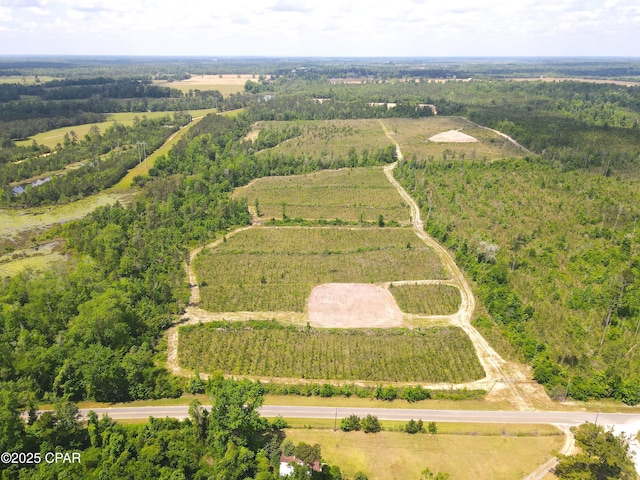 00 Sinai Rd, Sneads, FL 32460