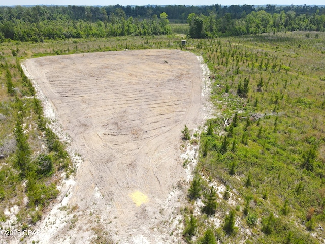 00 Sinai Rd, Sneads, FL 32460