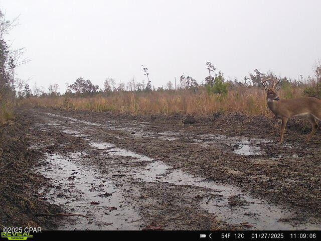 00 Sinai Rd, Sneads, FL 32460