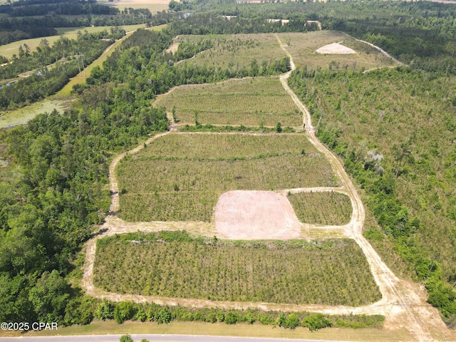 00 Sinai Rd, Sneads, FL 32460