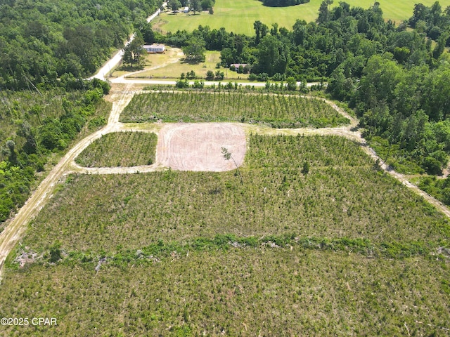 00 Sinai Rd, Sneads, FL 32460