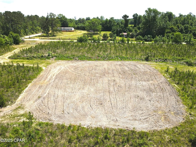 00 Sinai Rd, Sneads, FL 32460