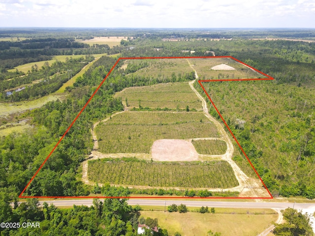 00 Sinai Rd, Sneads, FL 32460