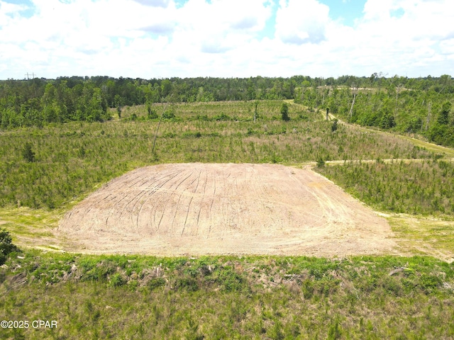 00 Sinai Rd, Sneads, FL 32460