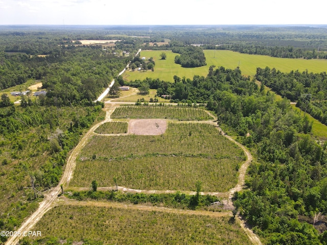 00 Sinai Rd, Sneads, FL 32460