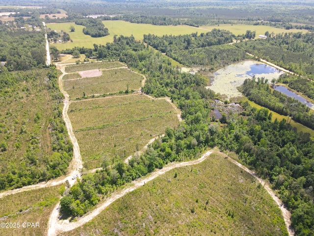 00 Sinai Rd, Sneads, FL 32460