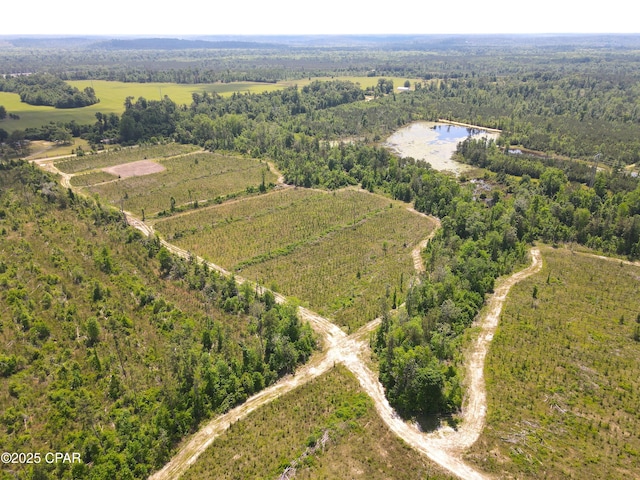 00 Sinai Rd, Sneads, FL 32460