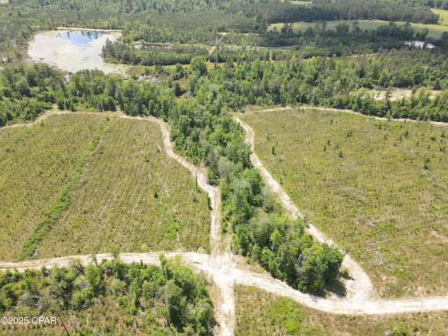 00 Sinai Rd, Sneads, FL 32460