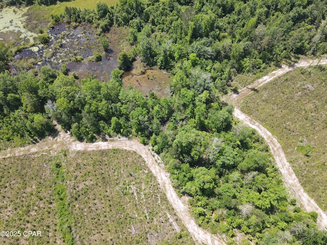 00 Sinai Rd, Sneads, FL 32460