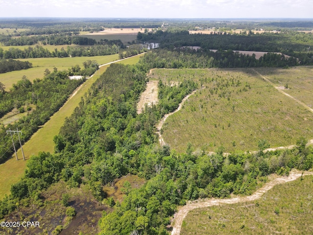 00 Sinai Rd, Sneads, FL 32460