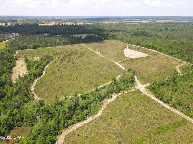 00 Sinai Rd, Sneads, FL 32460