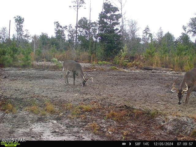 00 Sinai Rd, Sneads, FL 32460
