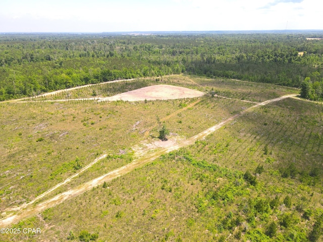 00 Sinai Rd, Sneads, FL 32460