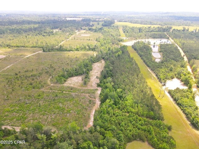 00 Sinai Rd, Sneads, FL 32460