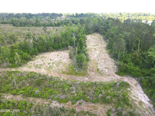 00 Sinai Rd, Sneads, FL 32460