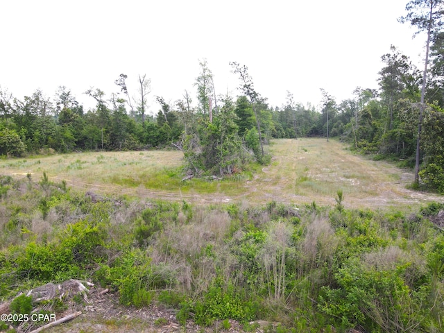 00 Sinai Rd, Sneads, FL 32460