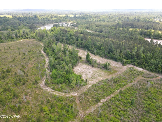 00 Sinai Rd, Sneads, FL 32460