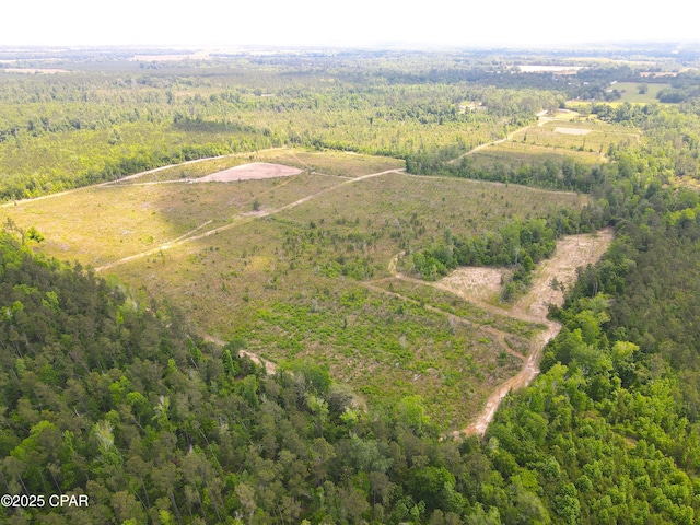 00 Sinai Rd, Sneads, FL 32460