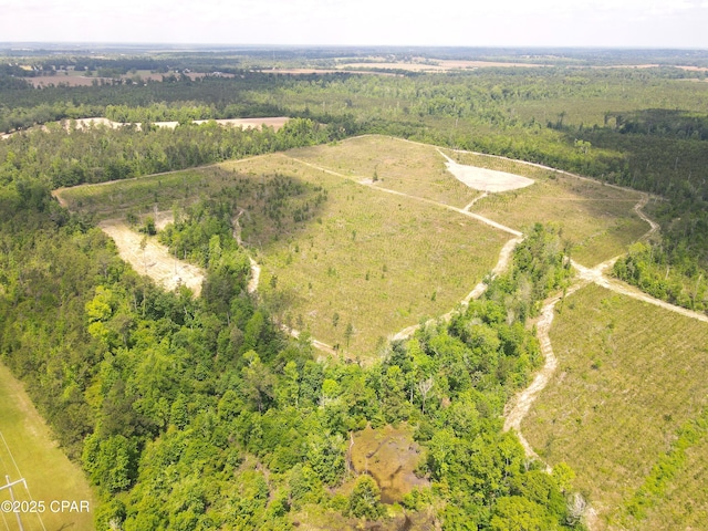 00 Sinai Rd, Sneads, FL 32460
