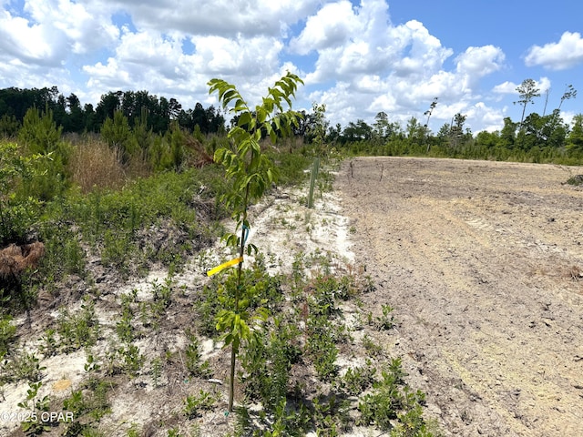 00 Sinai Rd, Sneads, FL 32460
