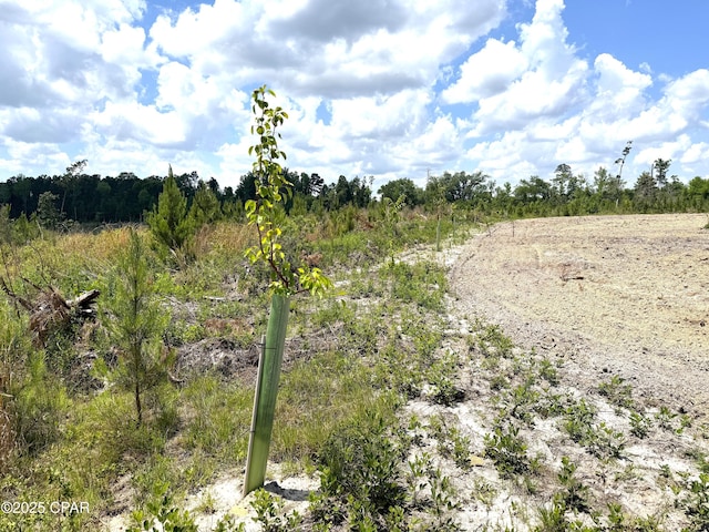 00 Sinai Rd, Sneads, FL 32460