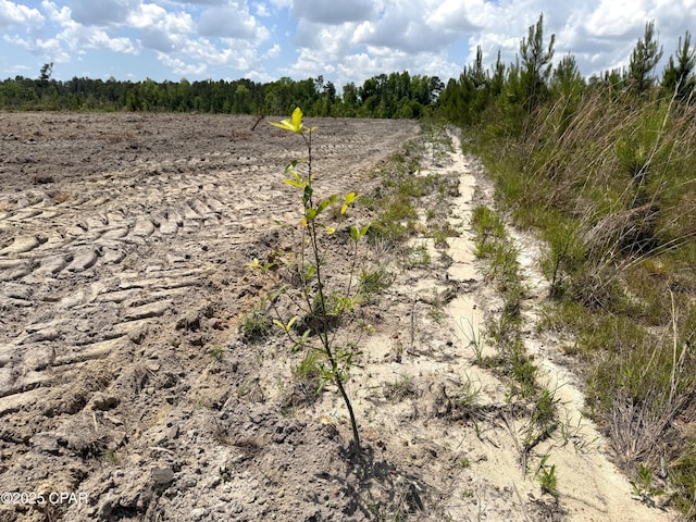00 Sinai Rd, Sneads, FL 32460