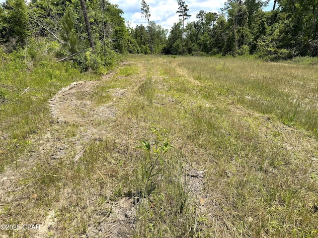 00 Sinai Rd, Sneads, FL 32460