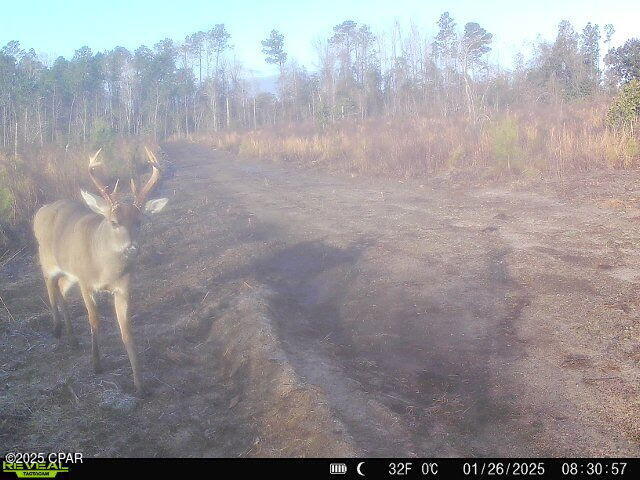 00 Sinai Rd, Sneads, FL 32460