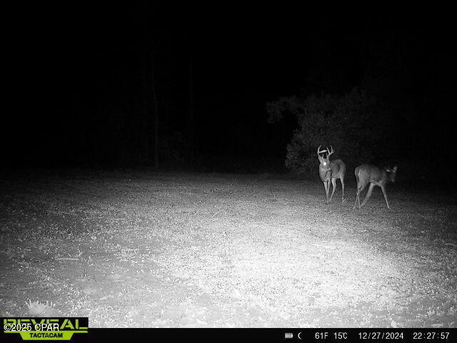 00 Sinai Rd, Sneads, FL 32460