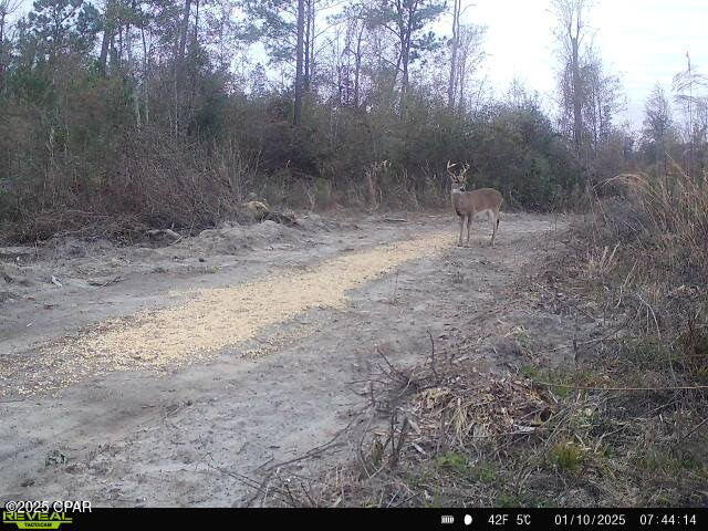 00 Sinai Rd, Sneads, FL 32460