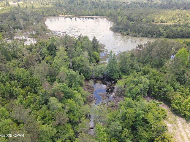 00 Sinai Rd, Sneads, FL 32460