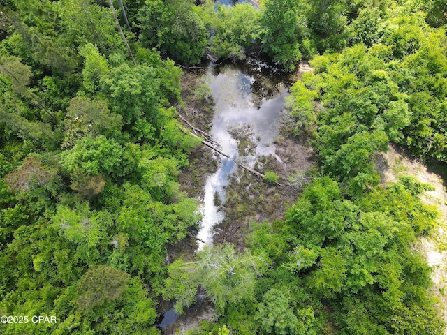 00 Sinai Rd, Sneads, FL 32460
