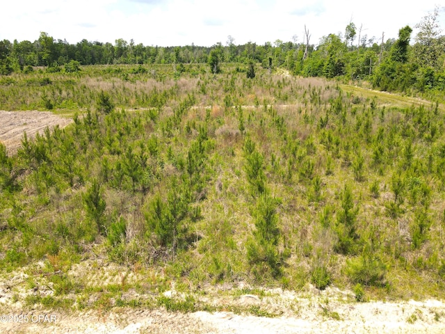 00 Sinai Rd, Sneads, FL 32460