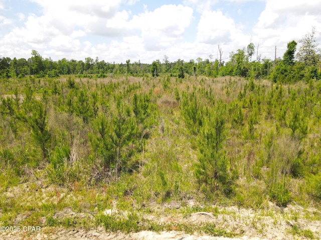 00 Sinai Rd, Sneads, FL 32460