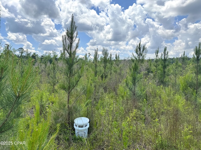 00 Sinai Rd, Sneads, FL 32460