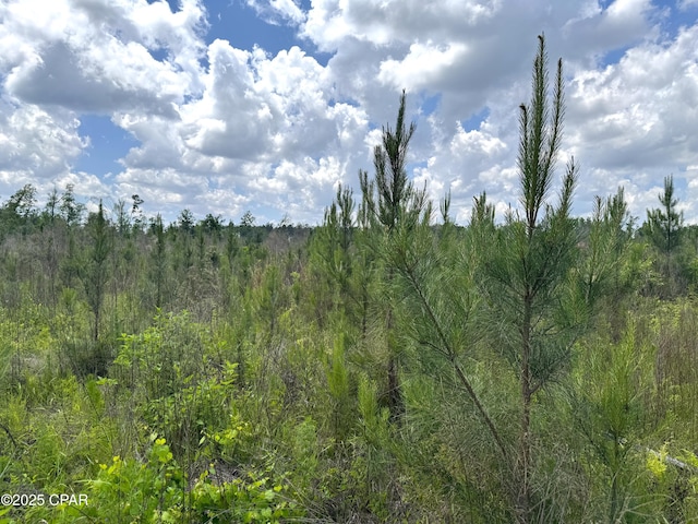 00 Sinai Rd, Sneads, FL 32460