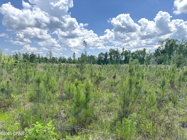 00 Sinai Rd, Sneads, FL 32460