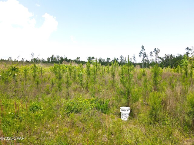00 Sinai Rd, Sneads, FL 32460