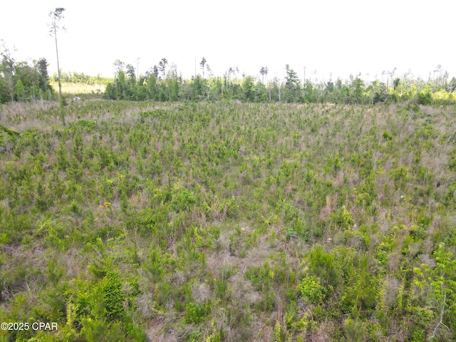 00 Sinai Rd, Sneads, FL 32460