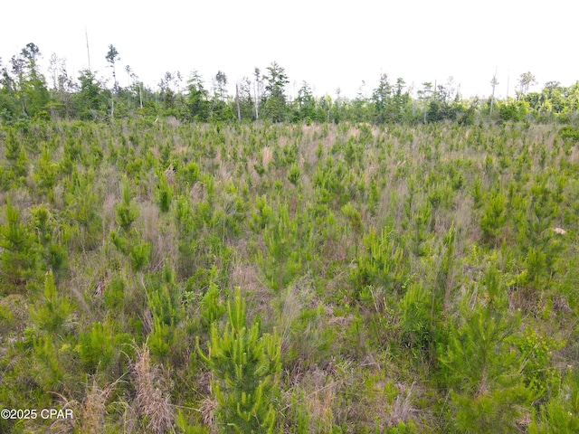 00 Sinai Rd, Sneads, FL 32460