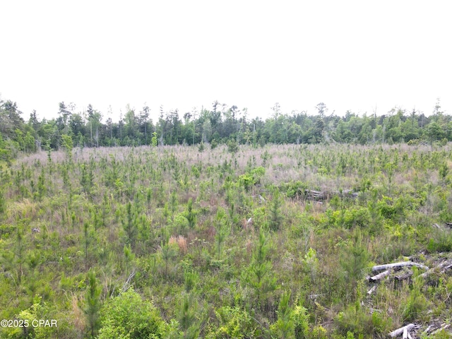 00 Sinai Rd, Sneads, FL 32460