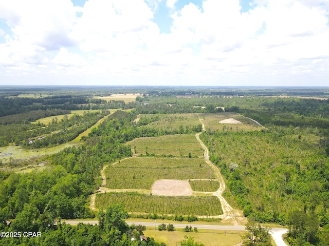 00 Sinai Rd, Sneads, FL 32460